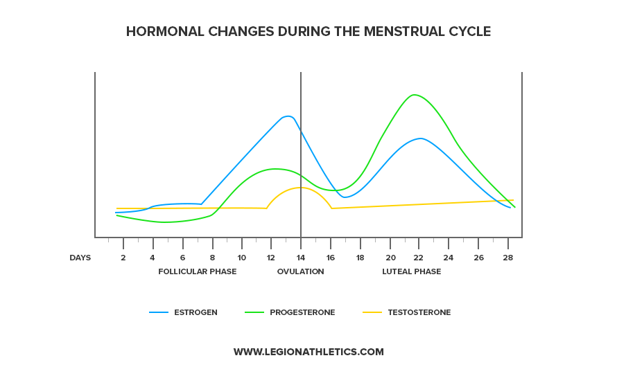 Снижение Веса И Менструальный Цикл