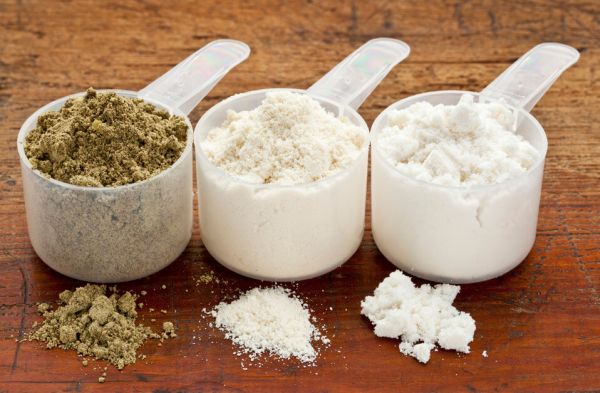 best protein powder for building muscle and losing weight