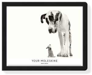 moleskin photo book