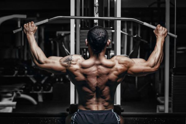 how to maintain muscle when not working out