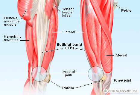 Your IT Band is Not the Enemy (But Maybe Your Foam Roller Is) - Breaking  Muscle