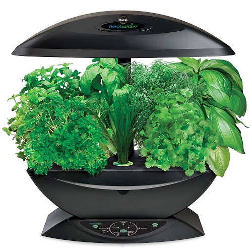 aerogarden-with-herb