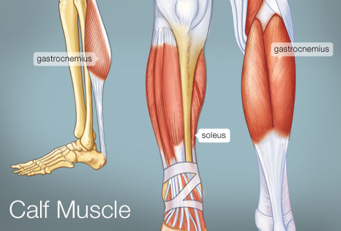 calves-workout