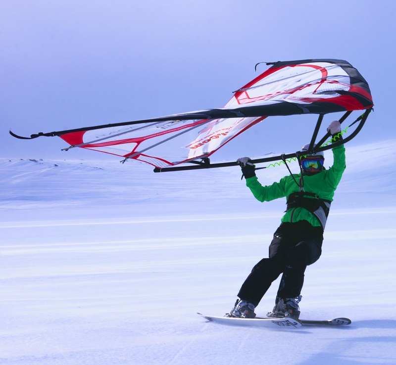 kitewing