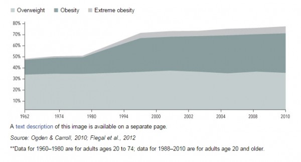 why-people-are-fat-1