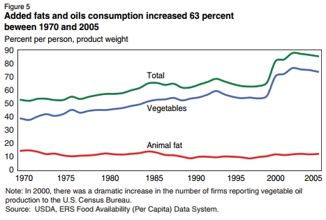 why-we-are-fat