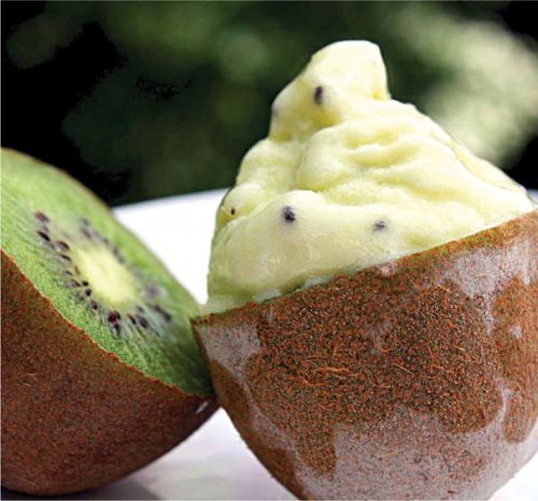 kiwi-frozen-yogurt-recipe
