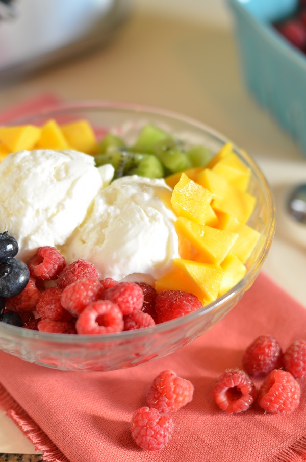soft-serve-frozen-yogurt-recipe