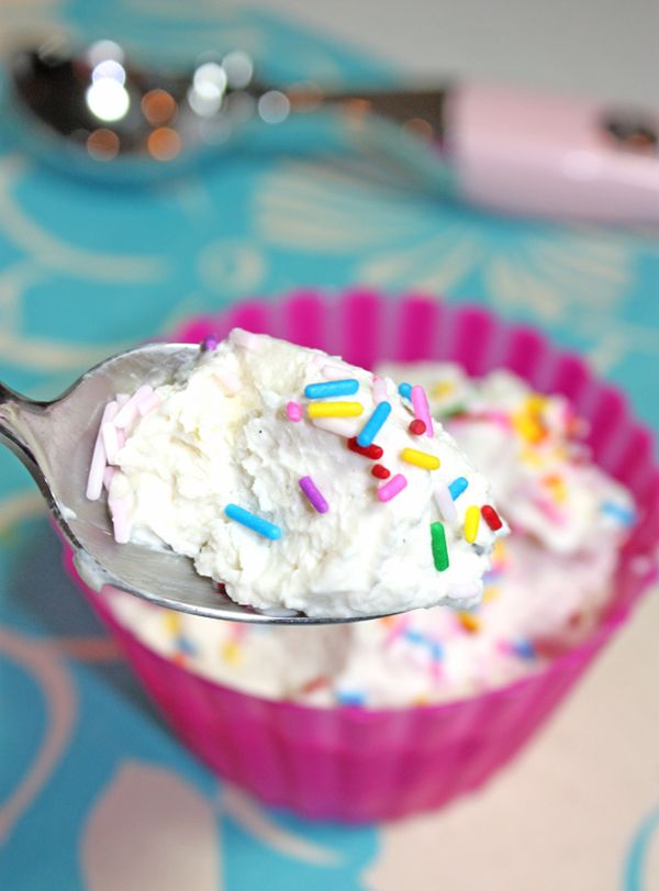 sugar-free-vanilla-frozen-yogurt-recipe