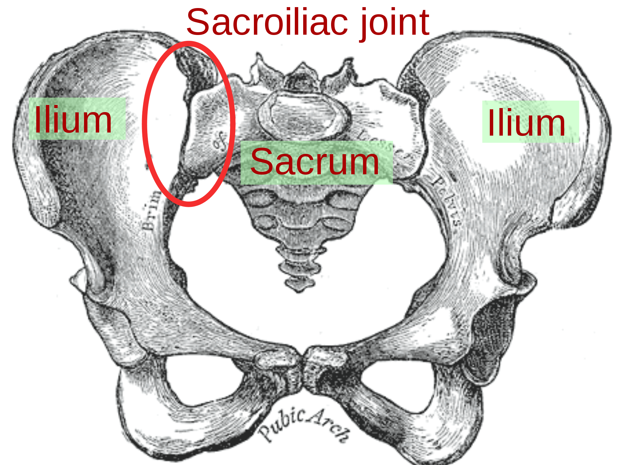 joint pain causes