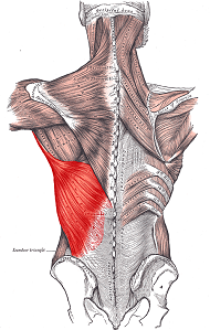 myofascial release back