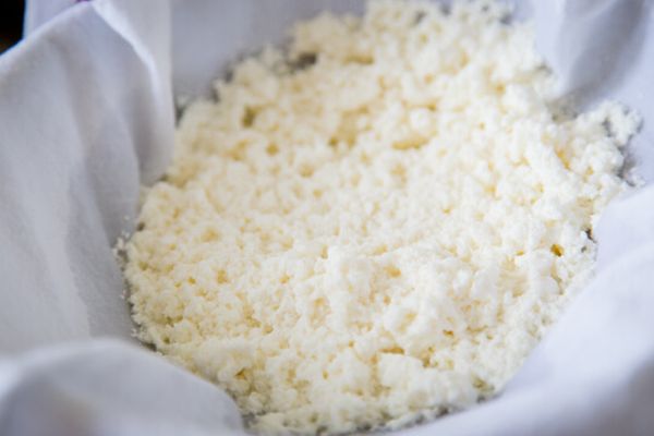 homemade buttermilk cottage cheese