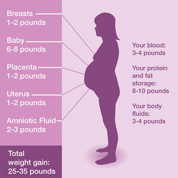 weight gain during pregnancy chart