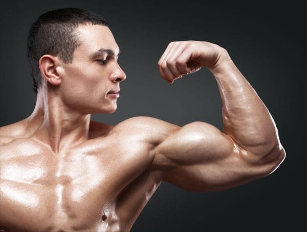 ultimate muscle building workout