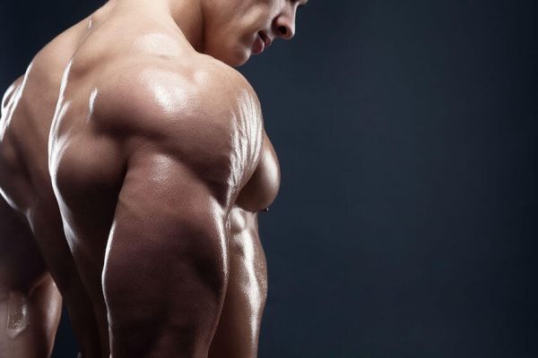 gain musculaire sans musculation des graisses