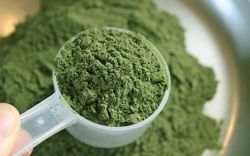 Everything You Need to Know About Green Powder Supplements