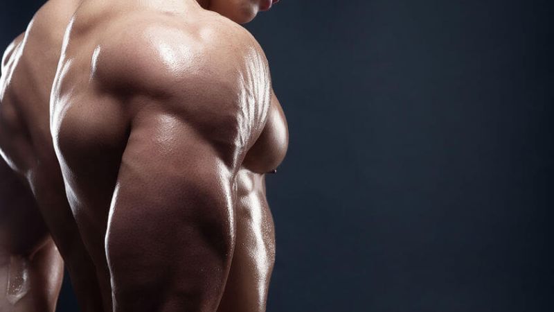 diet plan for building muscle