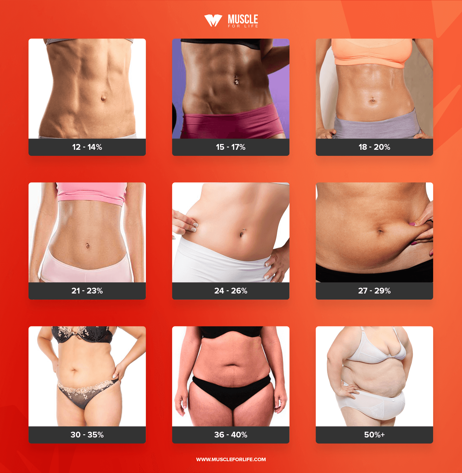 Body Fat Percentage Comparisons For Men & Women  Body fat percentage  men, Body fat percentage chart, Lose body fat