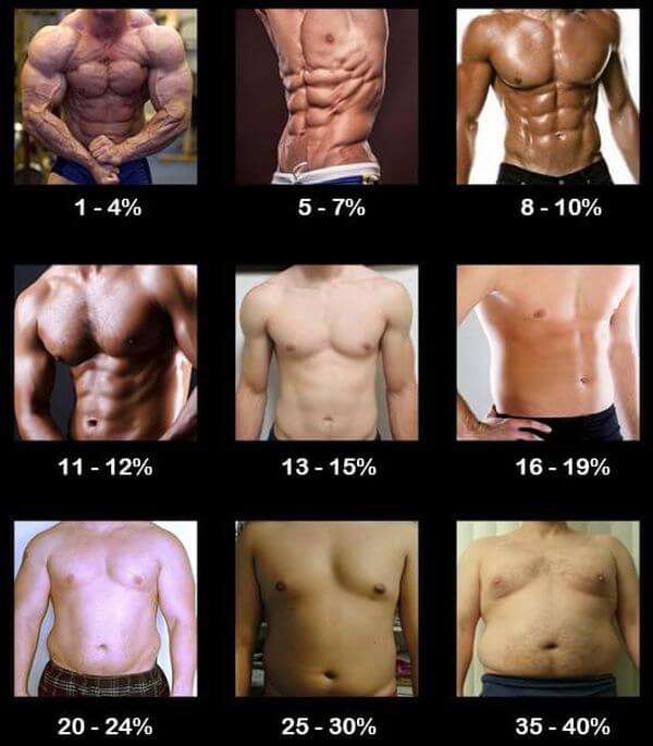 body composition chart men