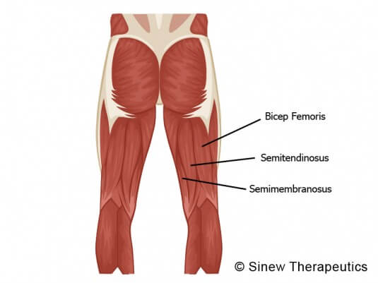 ottenere muscoli più grandi per gli hamstring