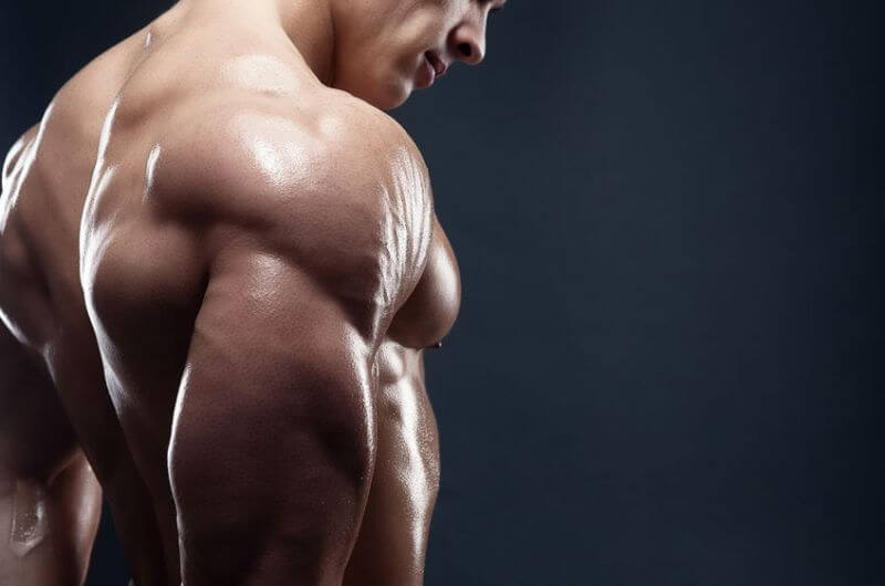 how to get bigger and stronger muscles