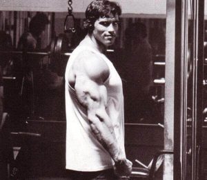 Tríceps flexionantes Arnold