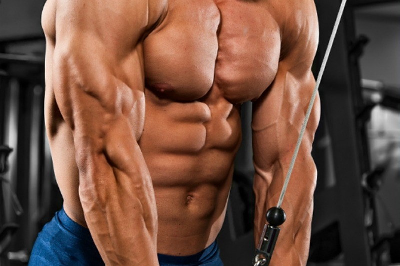 The Best Long Head Tricep Exercises for Mass, Legion