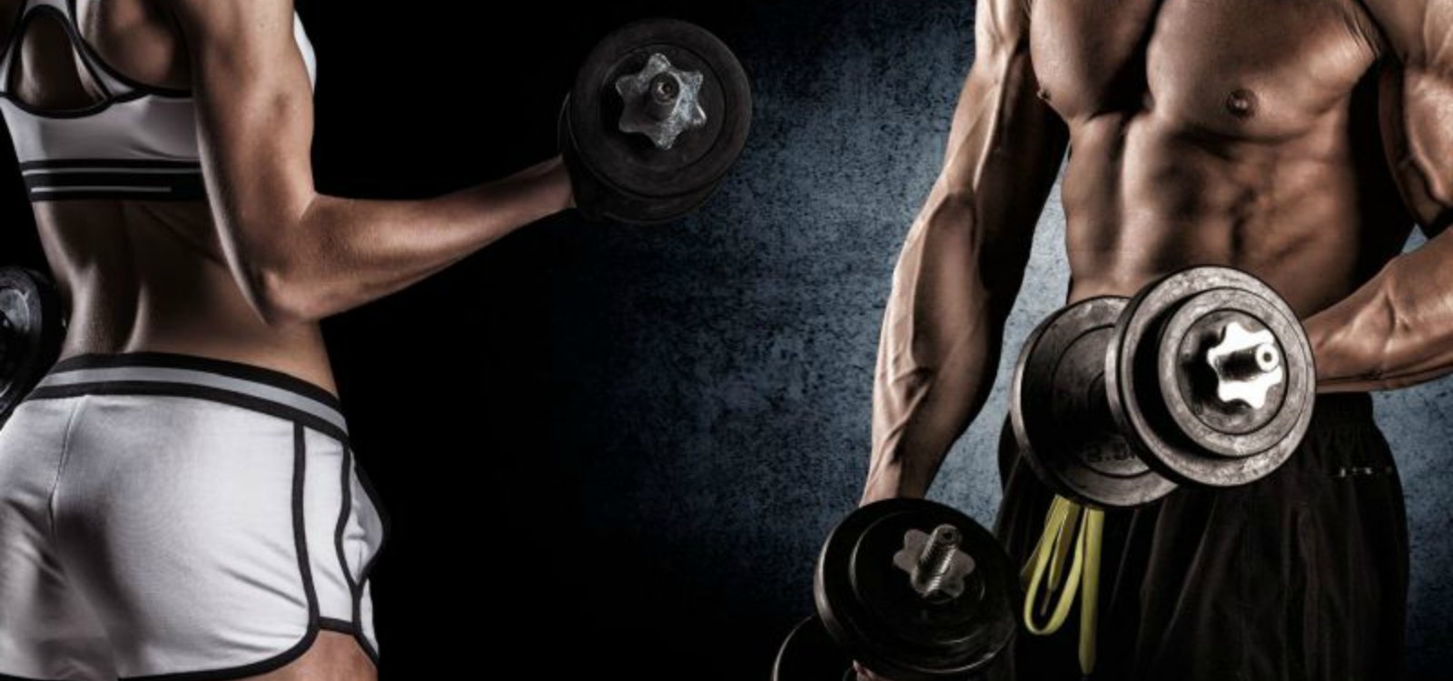 free weights vs machines bodybuilding