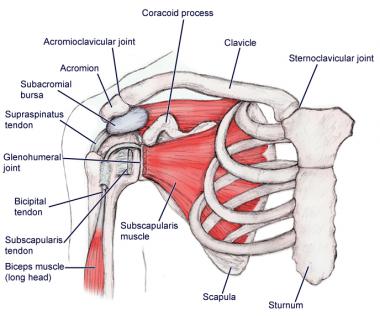 shoulder pain