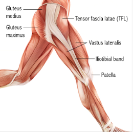 knee pain iliotibial band