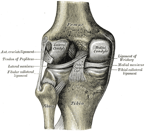 knee pain meniscus