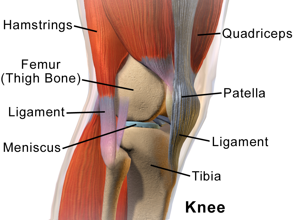 knee pain outside