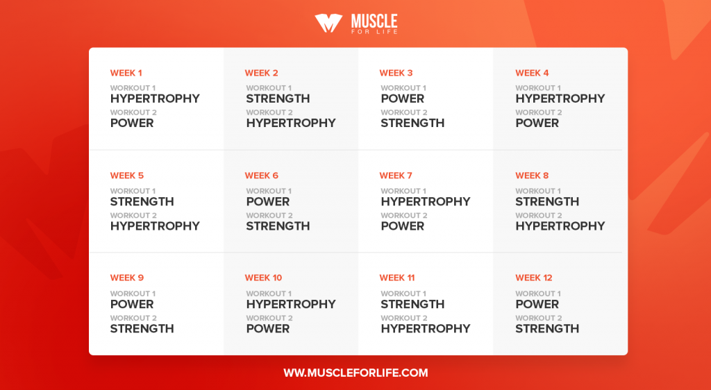 Hypertrophy Routine, Chest-Leg. 3rd Week - HSN Workouts