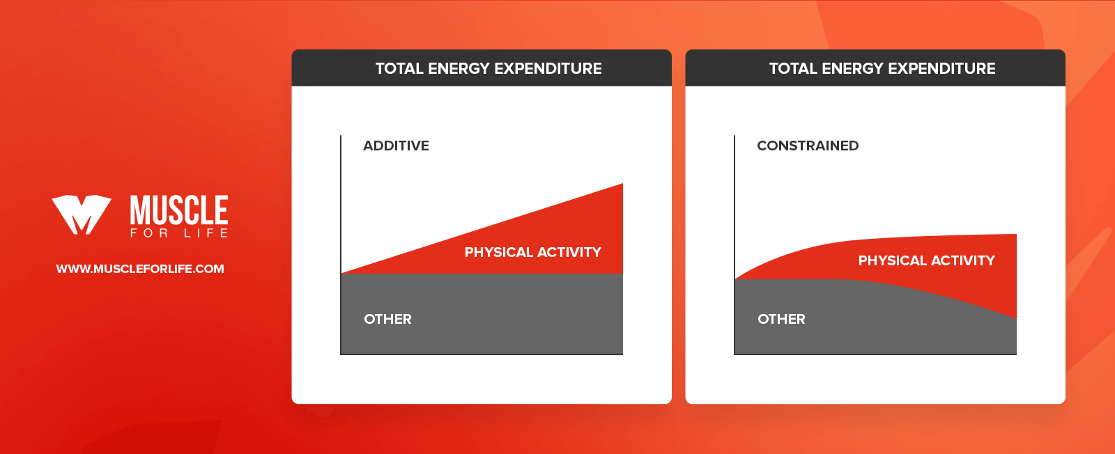 total energy expenditure