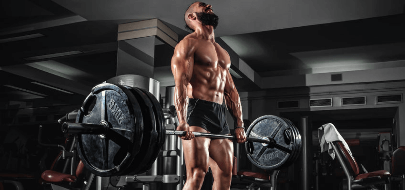 greg nuckols strength training program