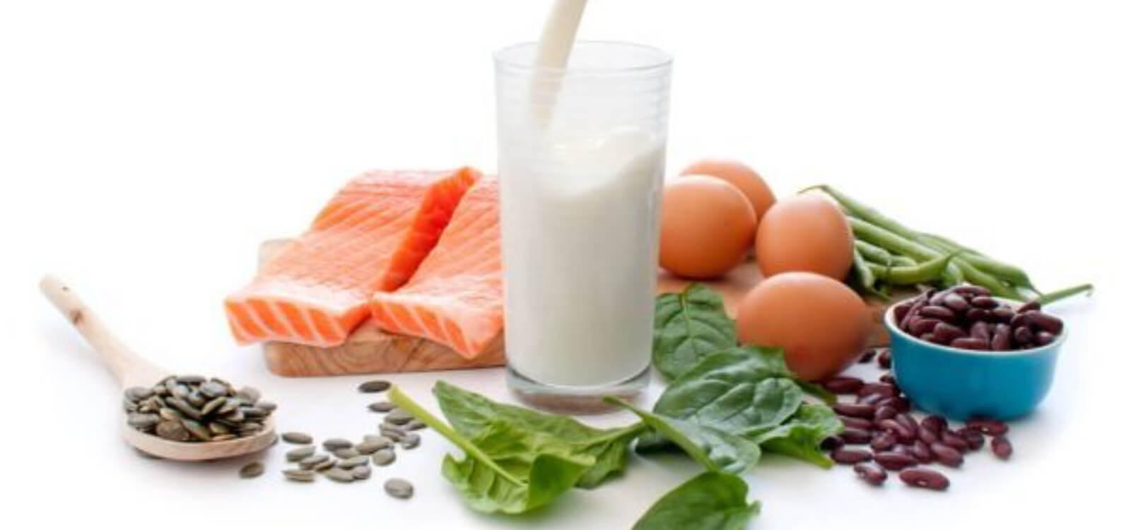 lose weight fast high protein