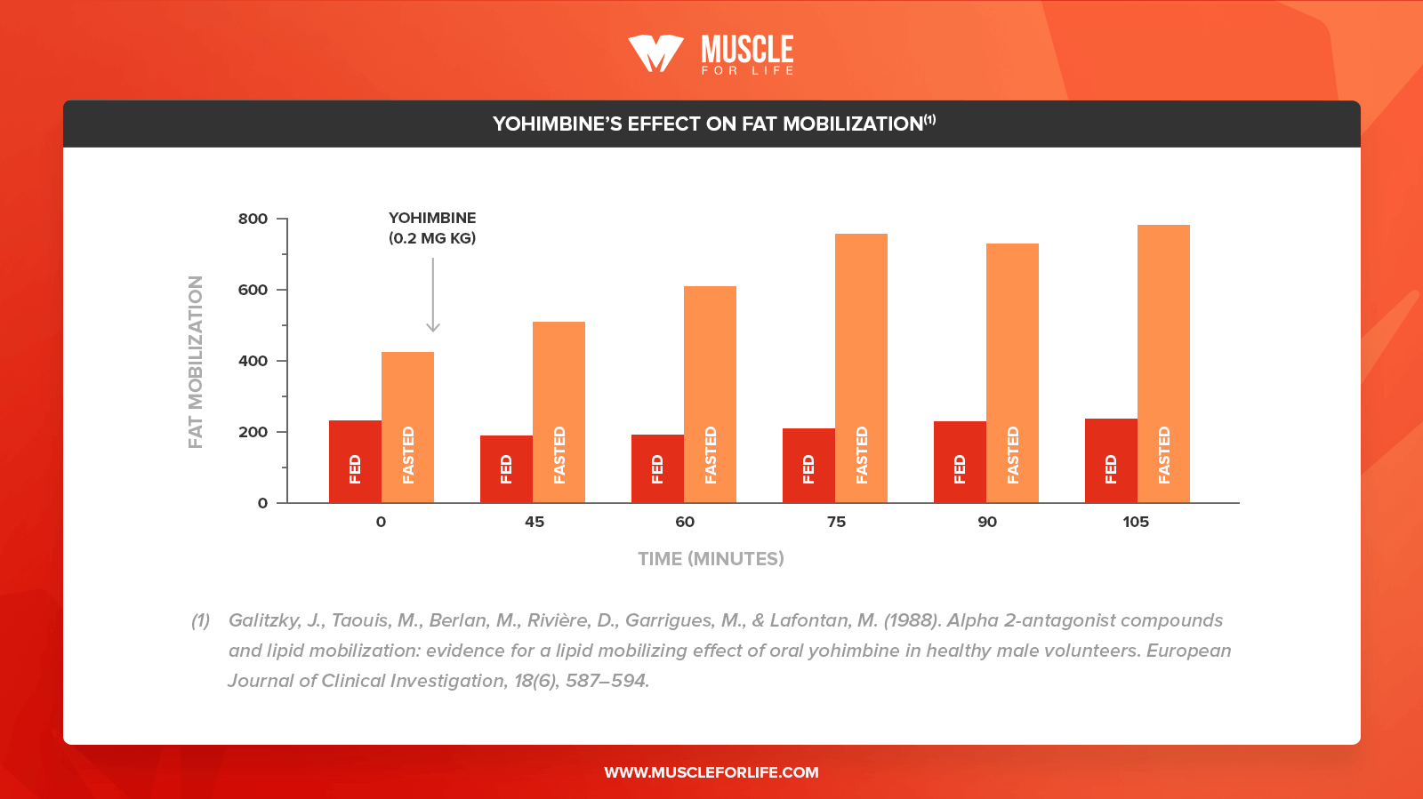 yohimbines effect on fat mobilization