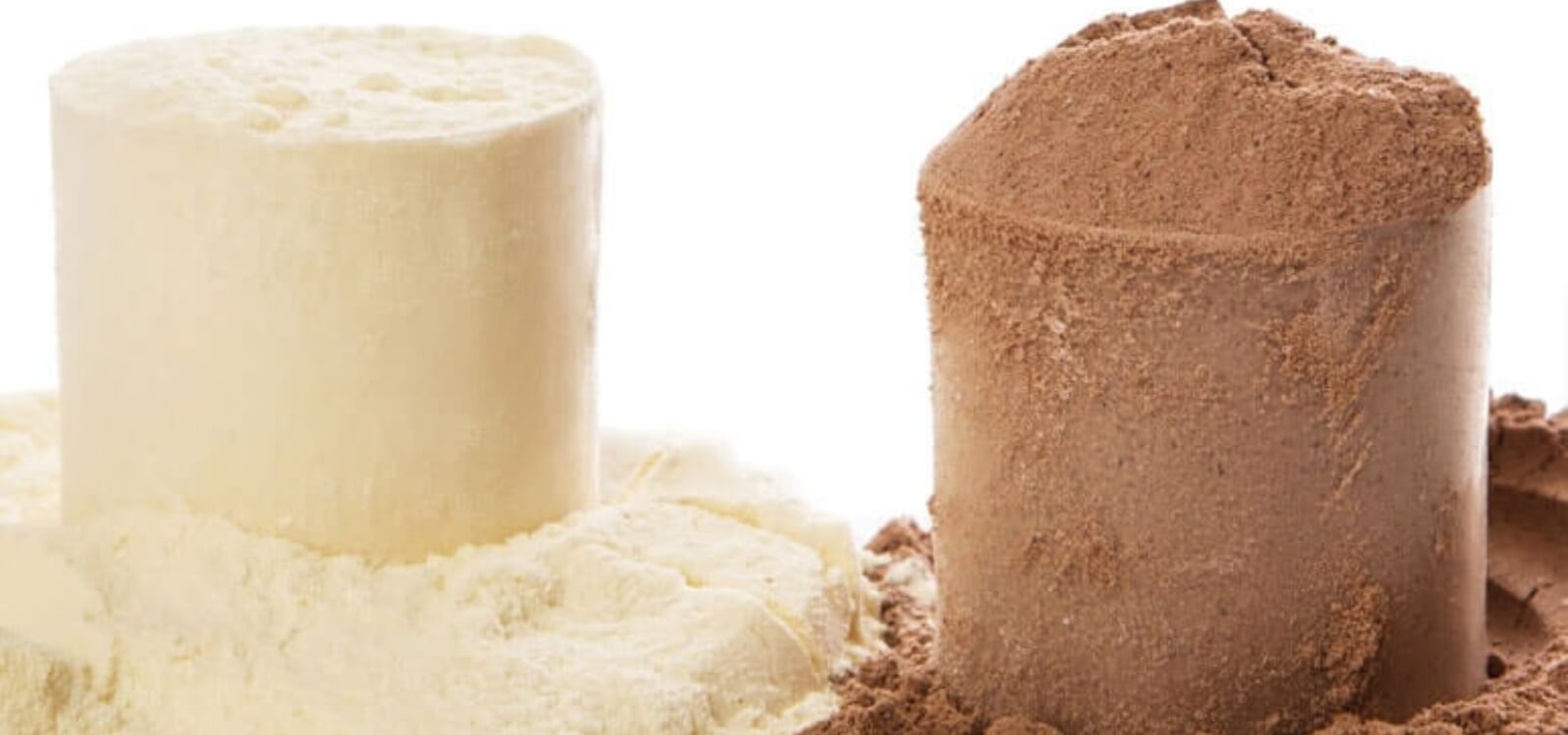 soy protein vs whey protein