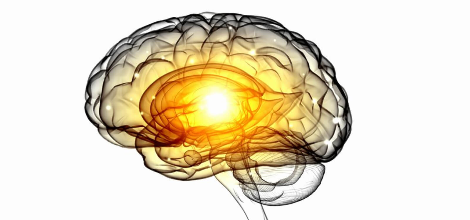 autophagy and neurodegeneration