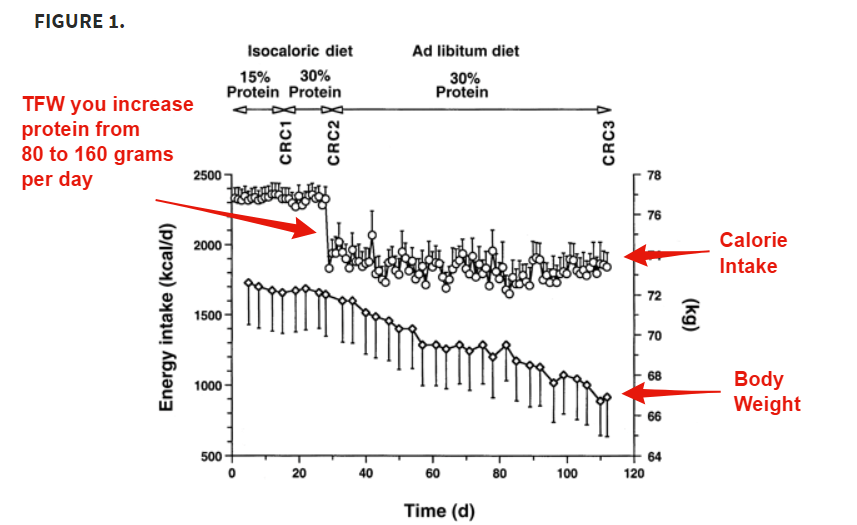 strongest appetite suppressant