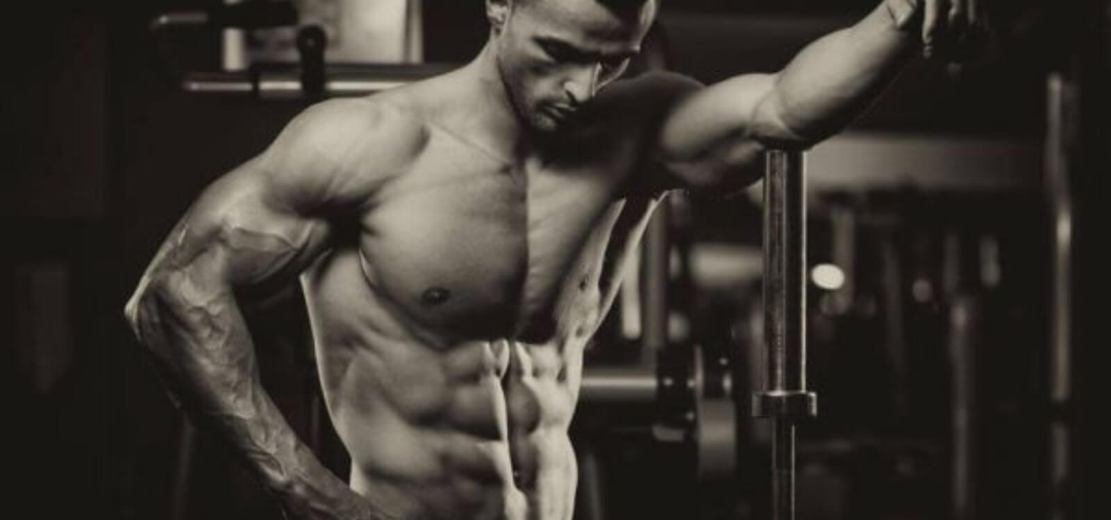 tdee calculator to gain muscle
