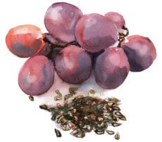 Grapes and grape seeds