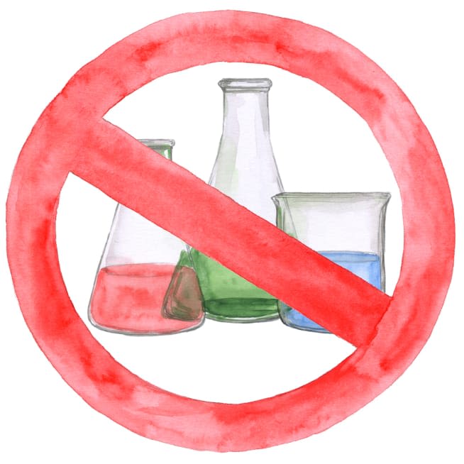 No Artificial Food Dyes or Other Unnecessary Junk