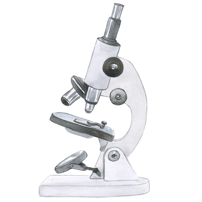 Third-Party Lab Tested for Potency & Purity