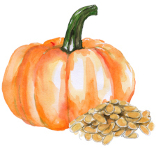 Pumpkin Seed Extract