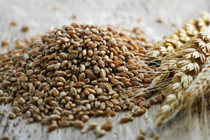 whole grains wheat 