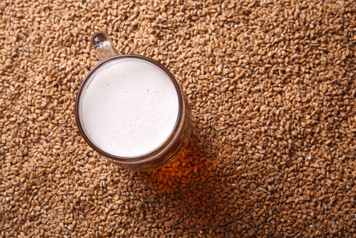 malt beer barley