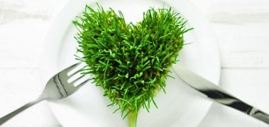 What You Should Know About Wheatgrass