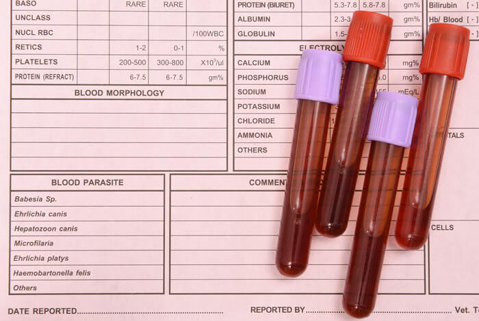 blood type tubes
