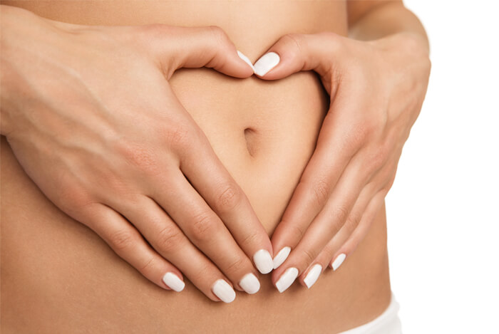 digestive system